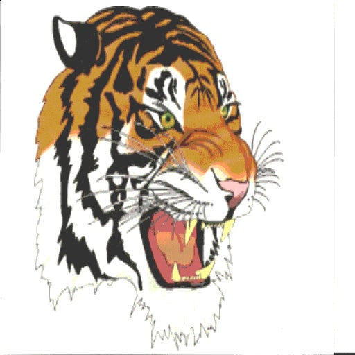 Webster logo