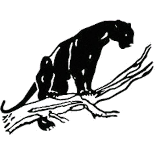 West Salem logo