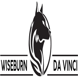 Wiseburn- Da Vinci logo