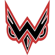 Wish Academy Owls logo