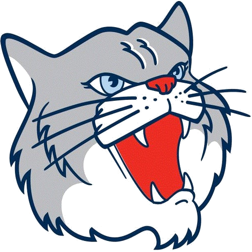 Woodlands Academy Wildcats logo
