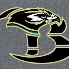 Birdville logo