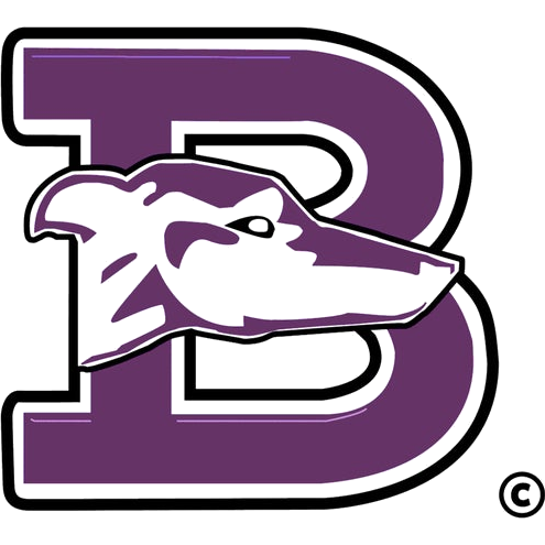 Boerne logo