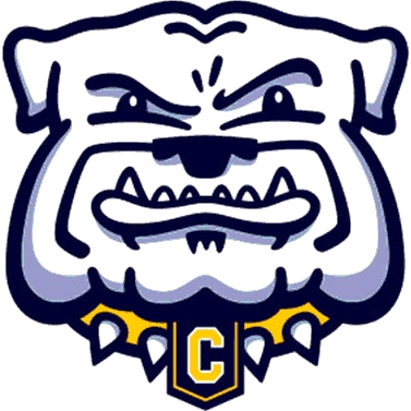Chelsea logo