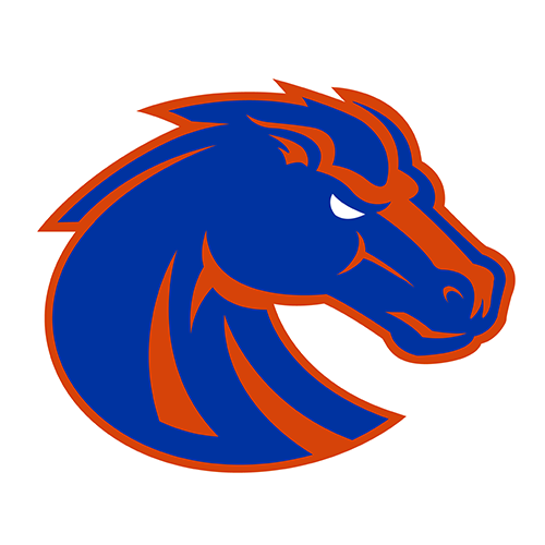 Boise St logo