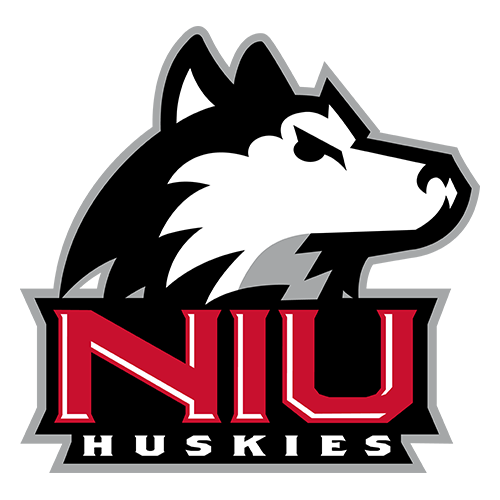 N Illinois logo