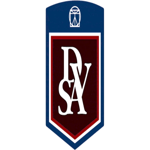 Davinci Academy Lions logo
