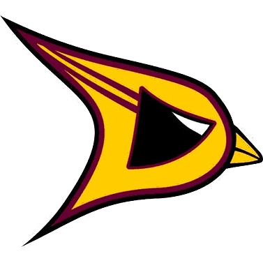 Davison logo