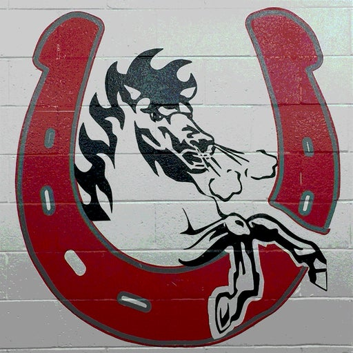 Detroit Collegiate Prep logo
