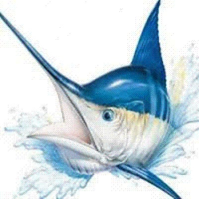 Madison logo