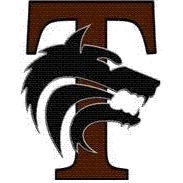 Mansfield Timberview logo