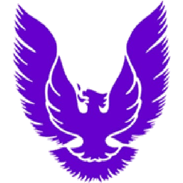Northern logo