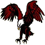 Pontiac Academy For Excellence Eagles logo