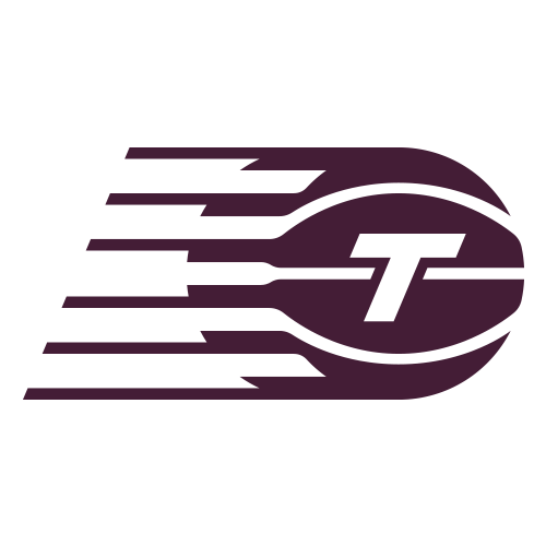 Tempo logo