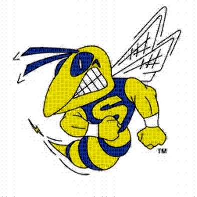 Saline logo