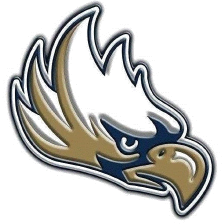 Savio logo