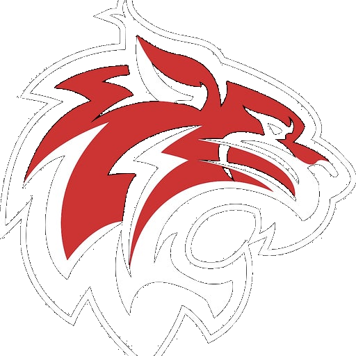 Washtenaw Christian Academy Wildcats logo