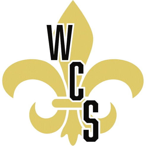 Washtenaw Saints logo