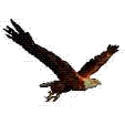Winston School Of Dallas Eagles logo